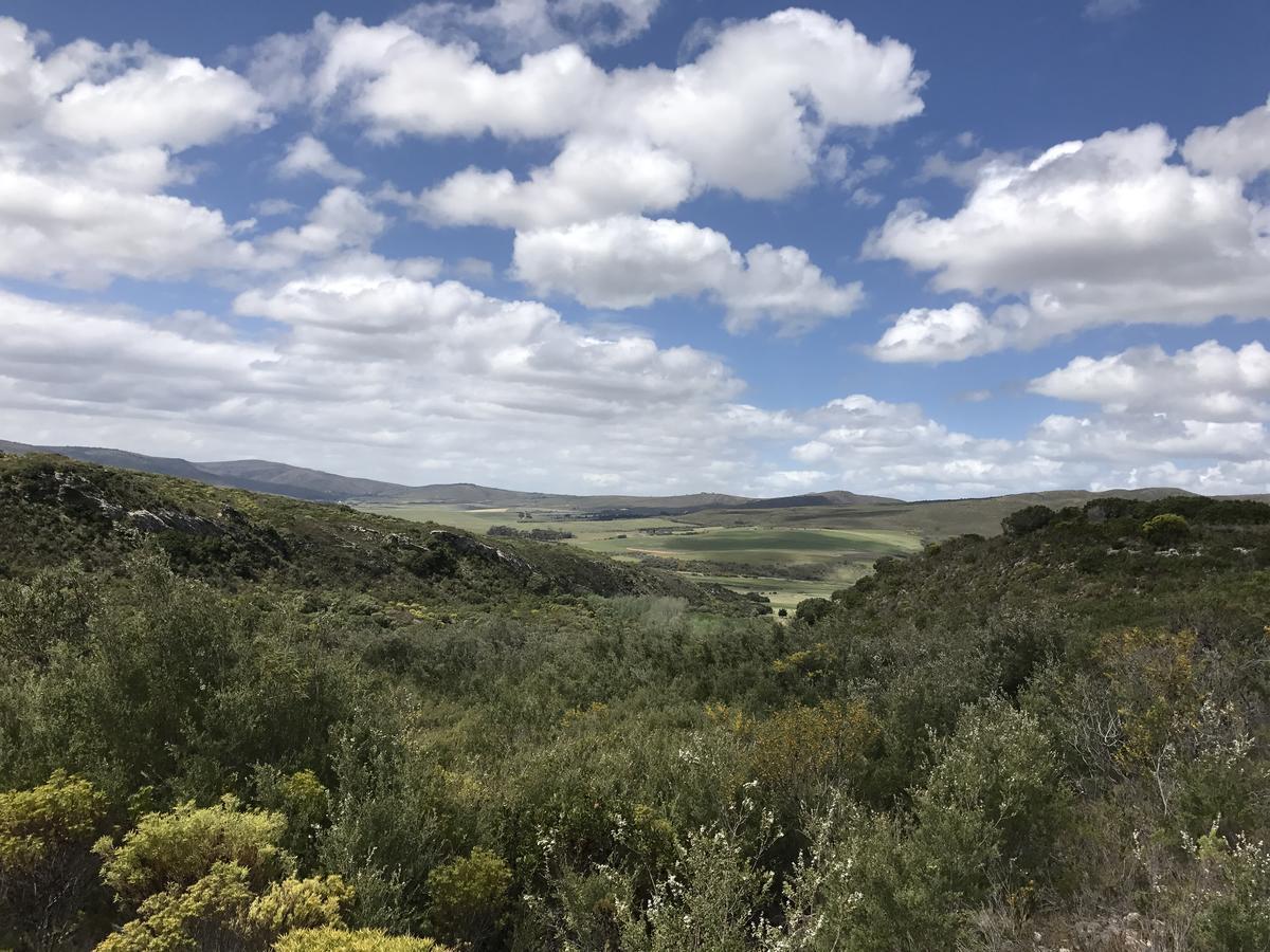 Goedvertrou Guest Farm Papiesvlei 외부 사진