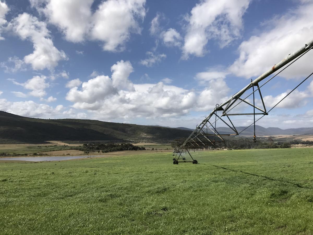 Goedvertrou Guest Farm Papiesvlei 외부 사진
