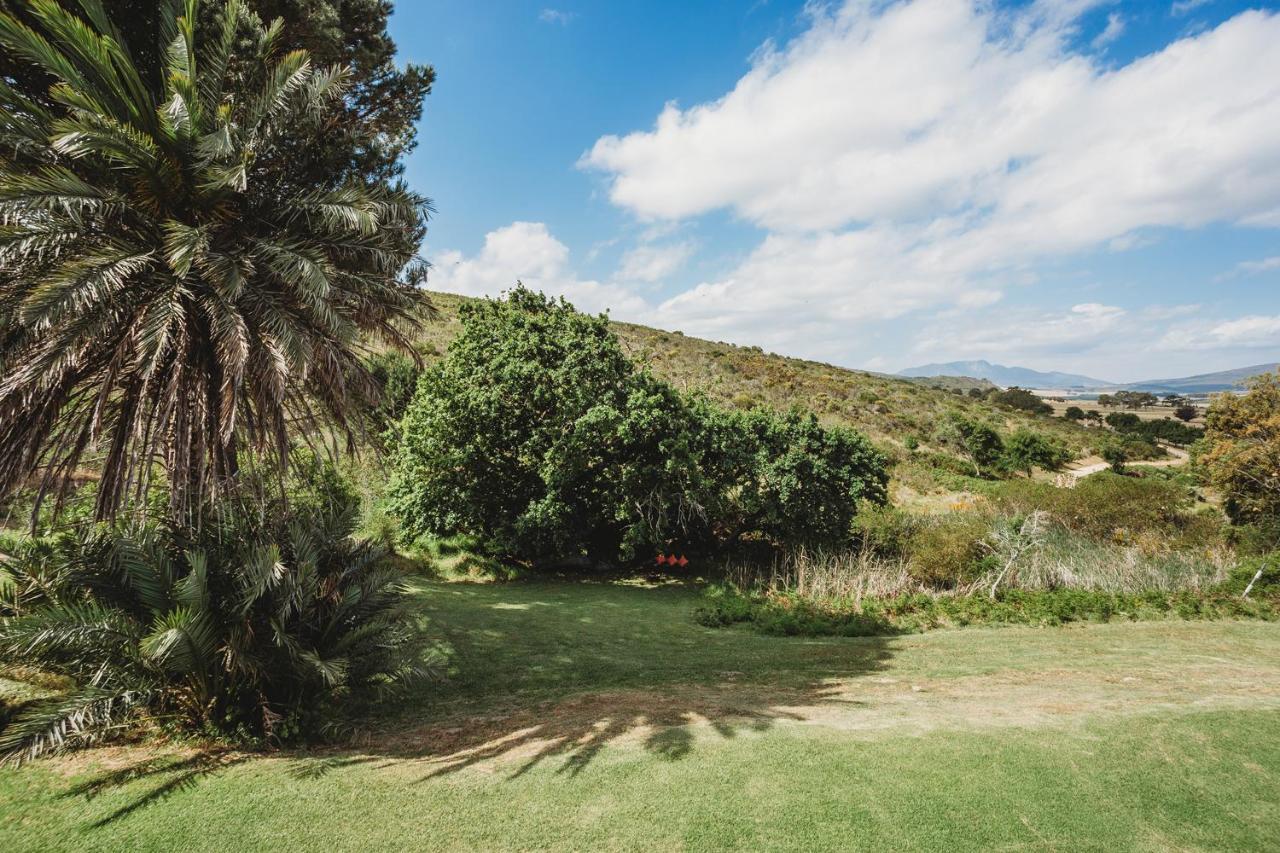 Goedvertrou Guest Farm Papiesvlei 외부 사진