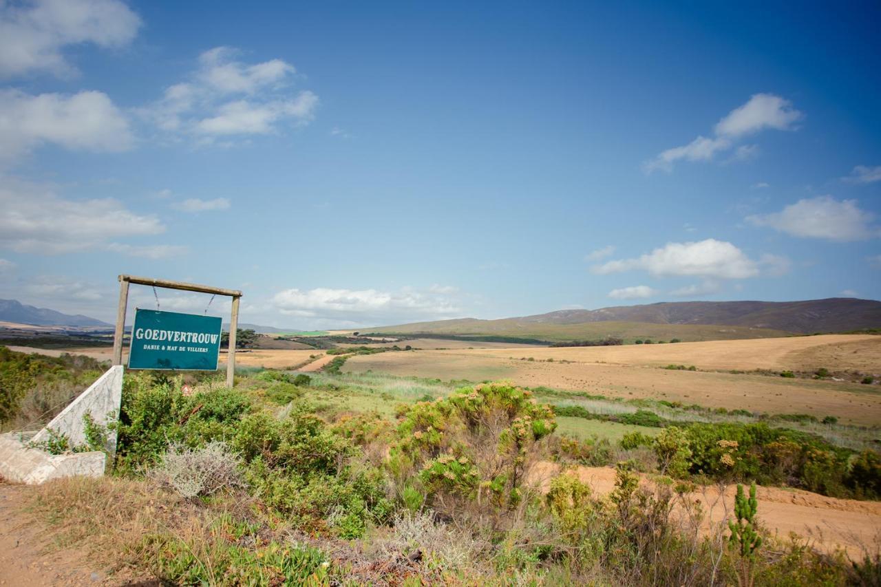 Goedvertrou Guest Farm Papiesvlei 외부 사진