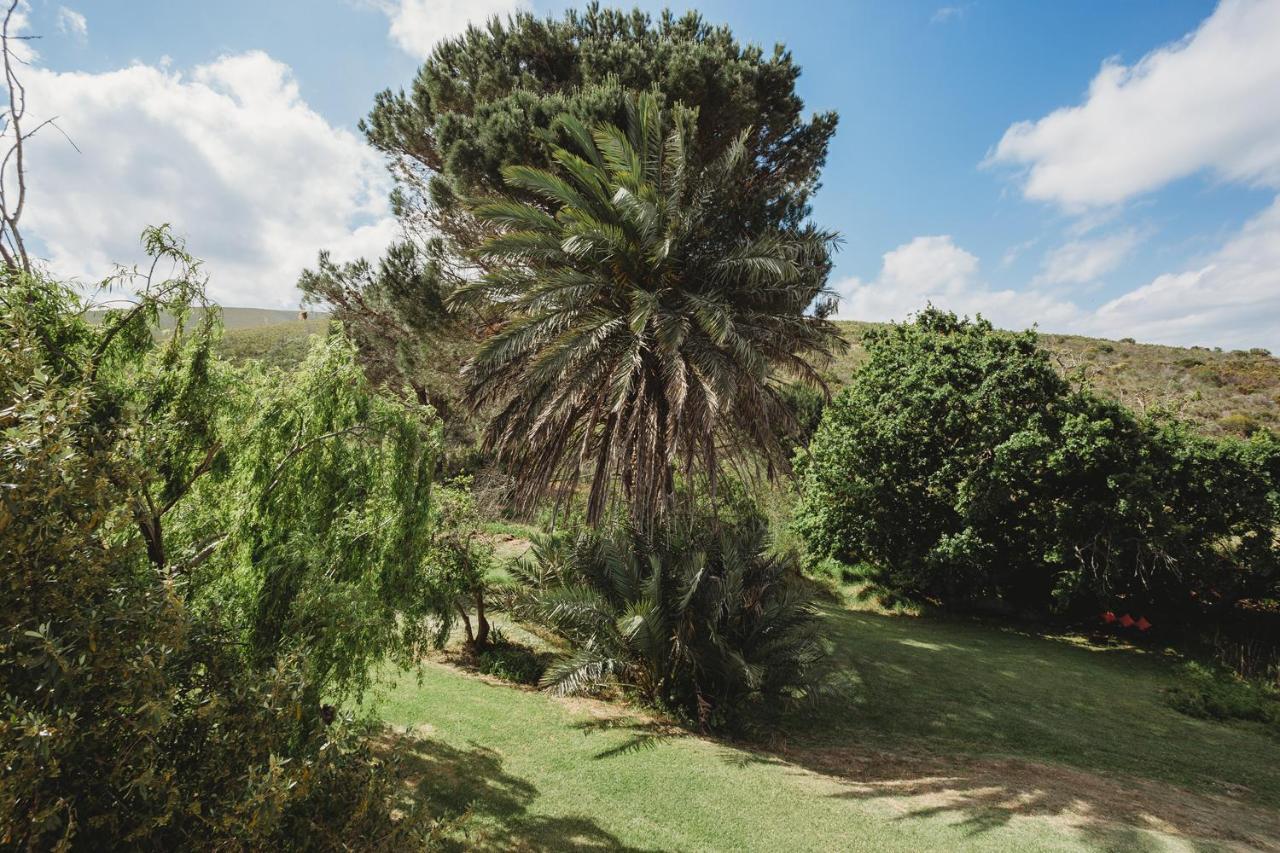 Goedvertrou Guest Farm Papiesvlei 외부 사진