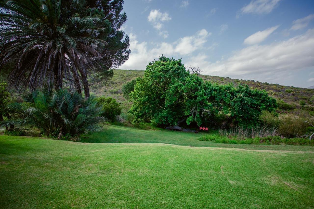 Goedvertrou Guest Farm Papiesvlei 외부 사진