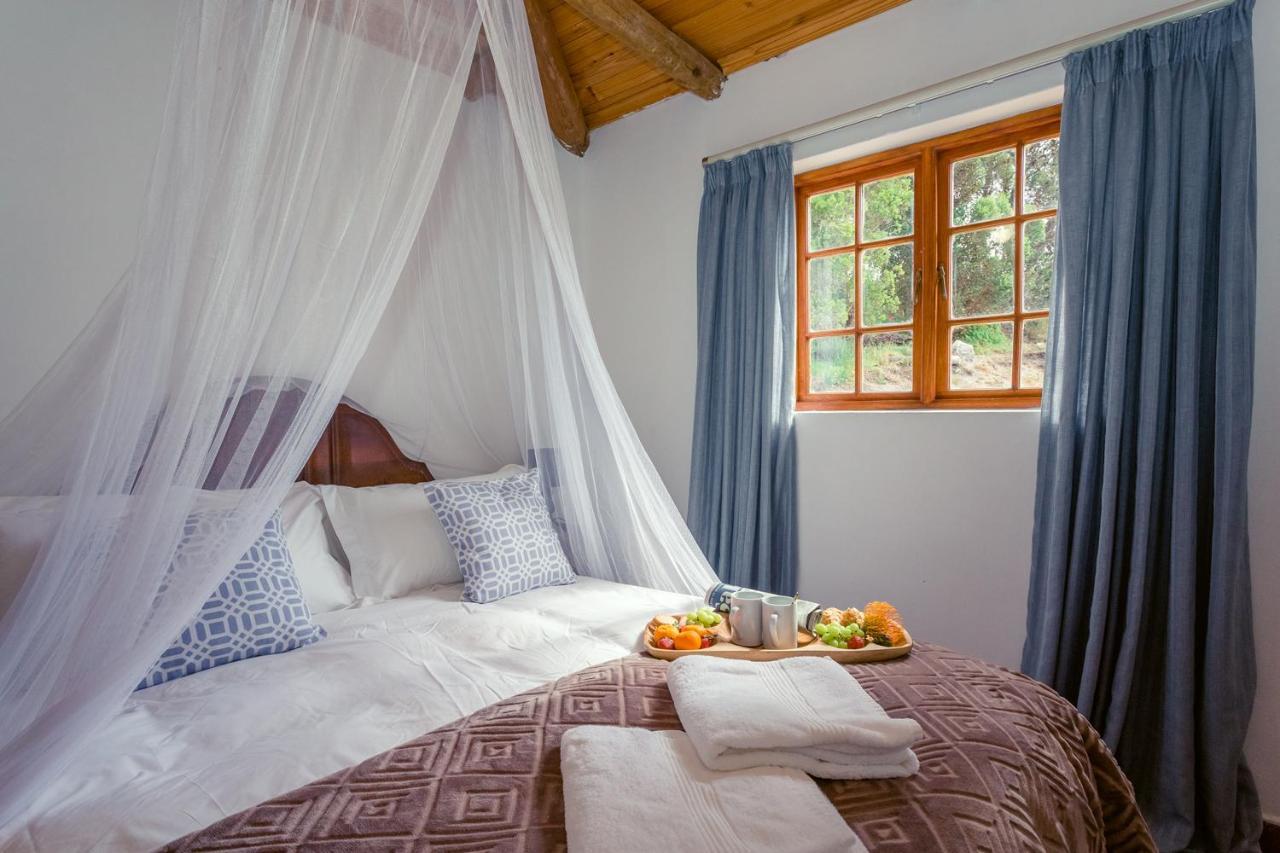 Goedvertrou Guest Farm Papiesvlei 외부 사진
